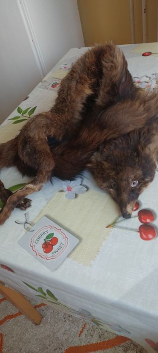 Яка от цяла естествена лисица