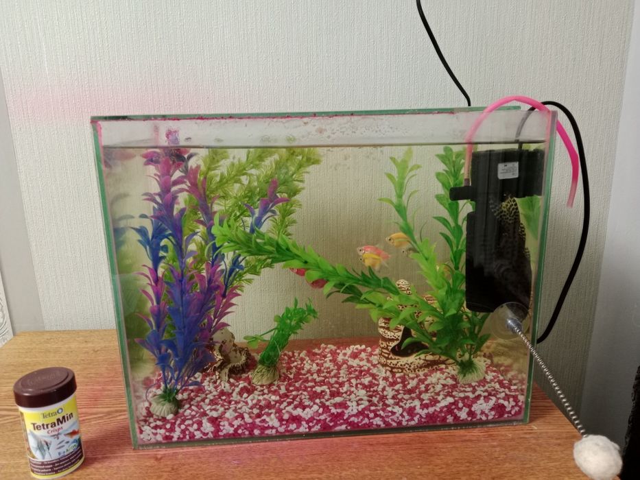 Аквариум с рыбками