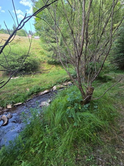 Vand 270m Teren la Sosea  Rîu în Spate Aproape de Vartop Arieseni Alba