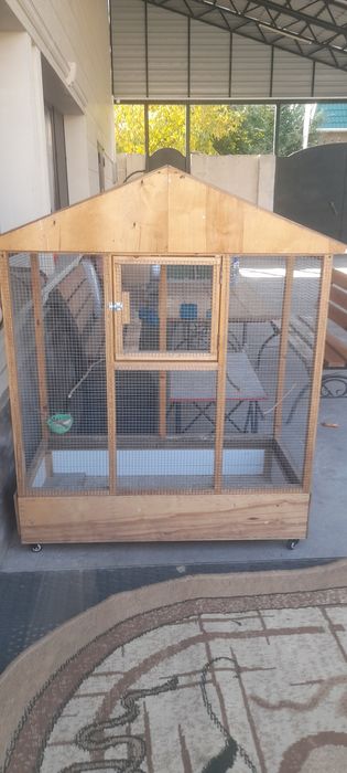 Продам канареек парные.
