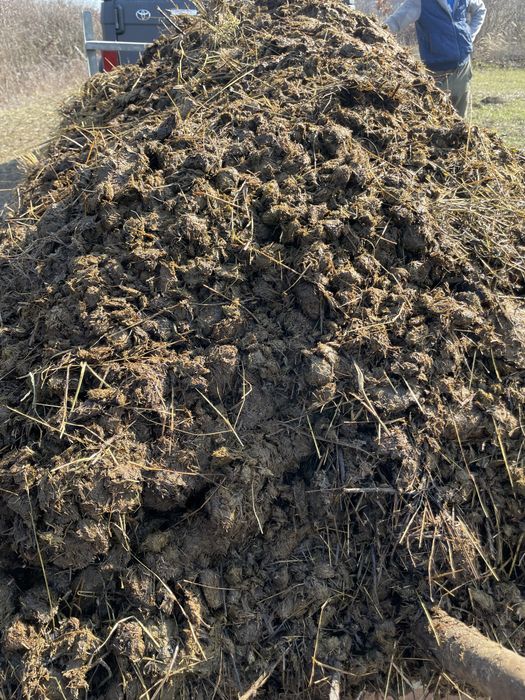 Vînd balegar pentru gradina .