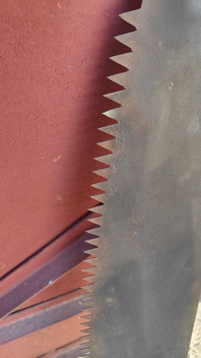 Пила дружба новая