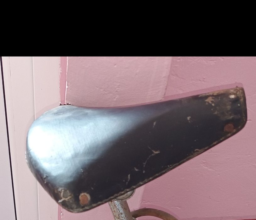 Sa bicicleta pegas made in romania