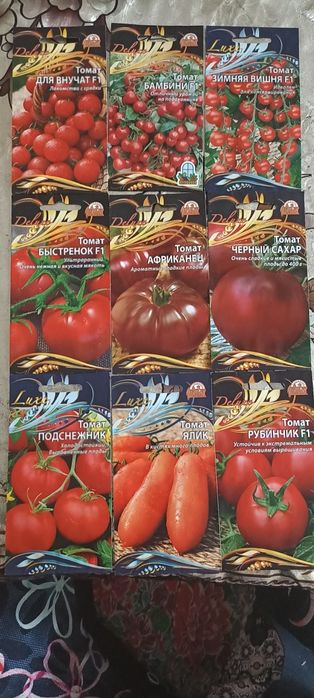 Памидор уруглари сотилади.