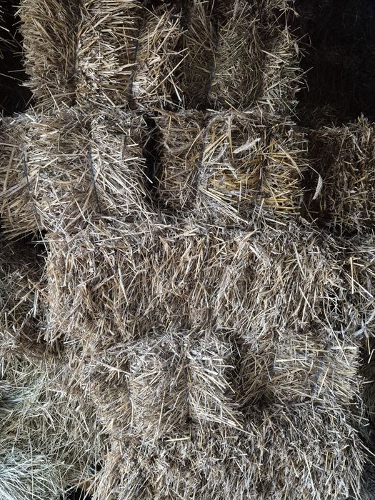 Baloti rotunzi mari de fan 120x120 dimensiune si baloti mici de paie