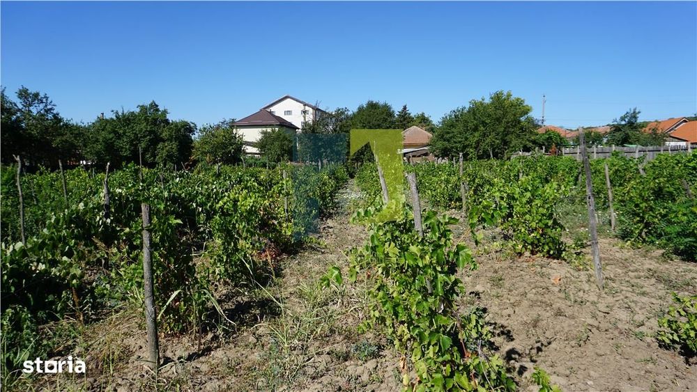 Teren stradal cu casa veche in Podari - toate utilitatile