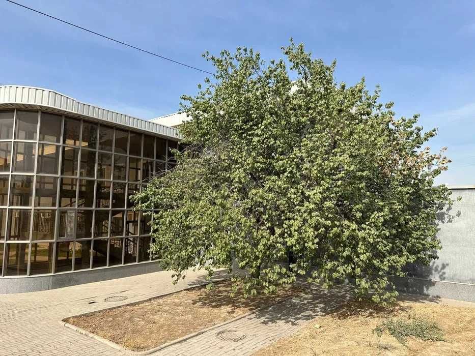 Продаётся Нежилое Помещение 1 гектар  Хасанбой Ор. Aka-uka Ресторан