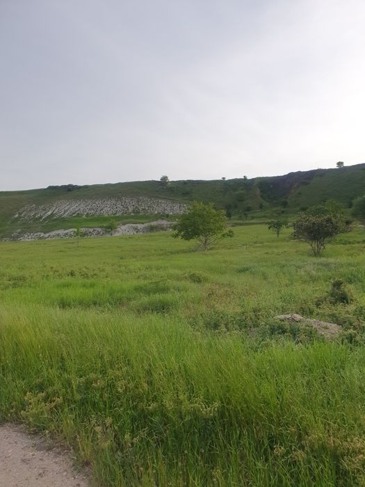 Loturi teren intravilan Valu lui Traian 449mp!