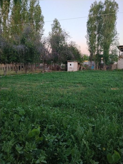 2xonali xovli ijarachi qoyamiz buni makler qoymagan! Bu uy ozimizniki.