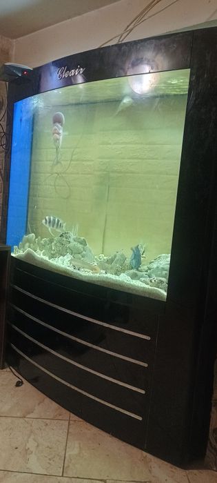 Продавам 1000л.аквариу,999ев.