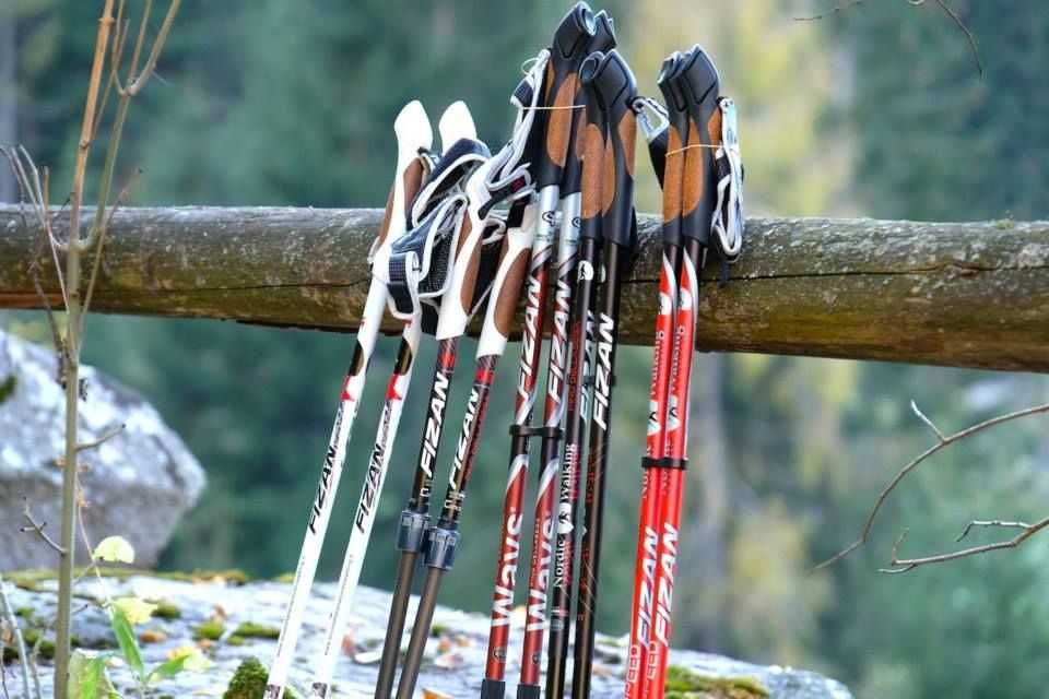 Инструктор по скандинавской ходьбе