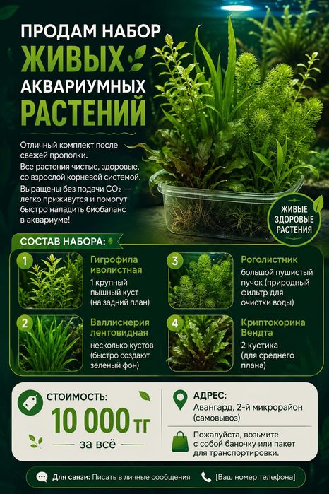 Водоросли для аквариума