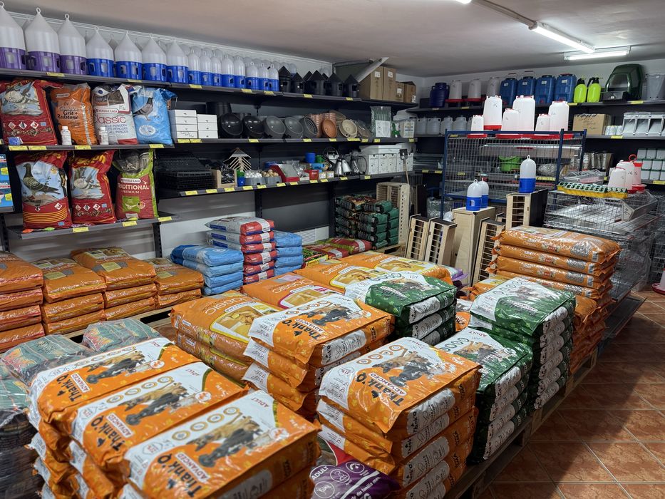 Thank Q – Conserve pentru caini pasare/vanat/vita 1240 gr ^