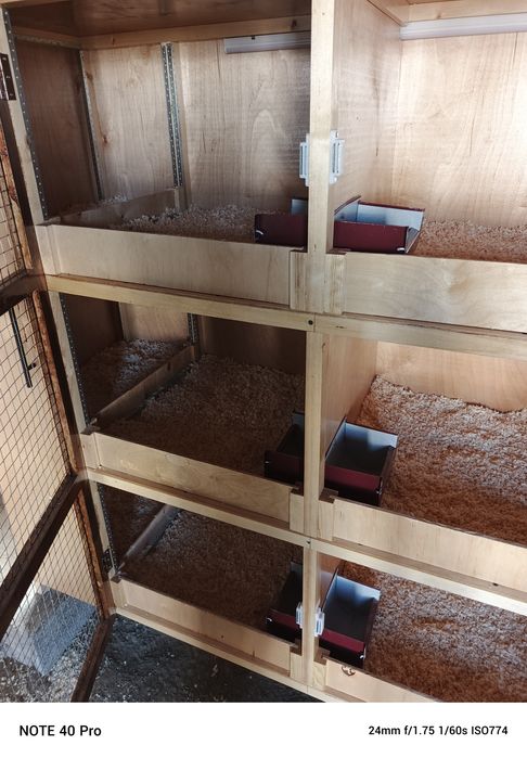 Куенлар учун куен кафас