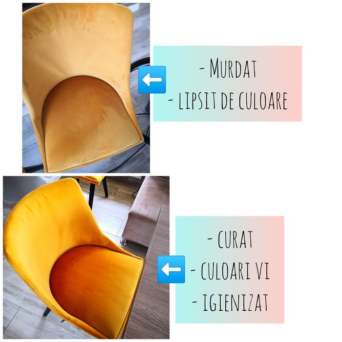 Curatare canapele/covoare/auto