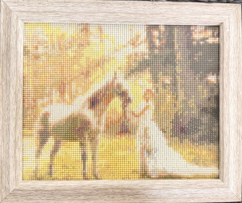 Диамантени гоблени - изготвени