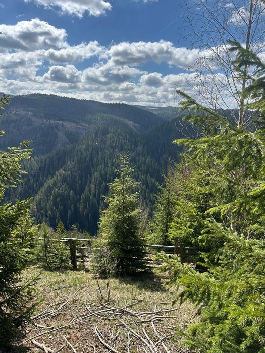 Teren la munte 4717m.p 30000 de euro