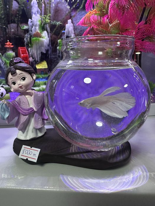 Заводские аквариумы  ‼️‼️