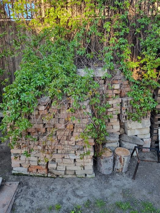 Caramida veche 500 bucati