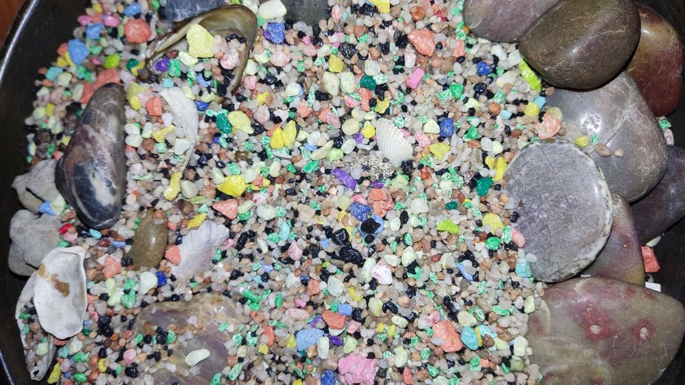 Все для аквариума 10000