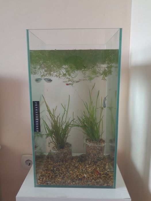 Продам новый аквариум