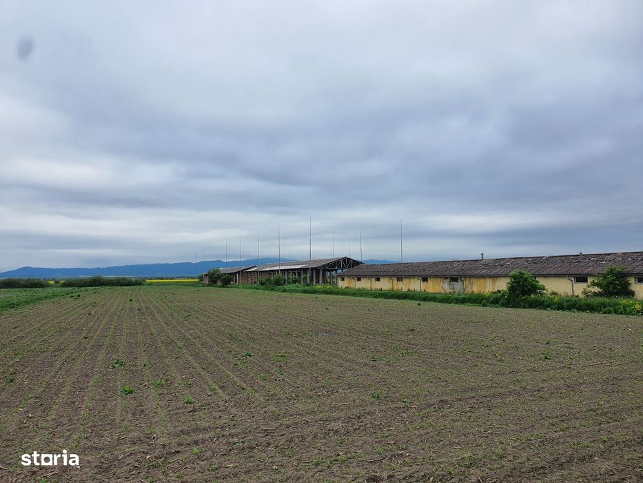 Teren Industrial Brasov - Halchiu cu deschidere la DN 13