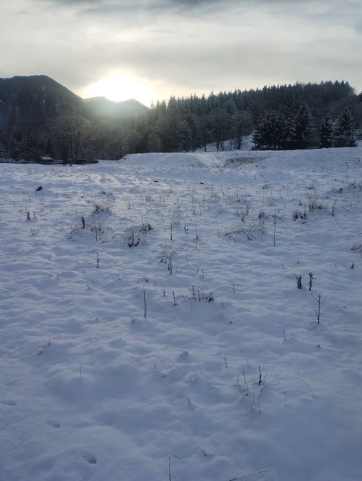 Teren de Vânzare Vama Buzaului