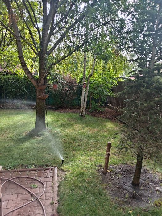 Ofer servicii de întreținere grădini și sisteme de  irigații