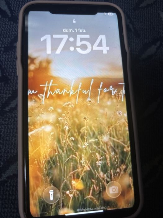 Vand iphone 11 in stare buna de functionare