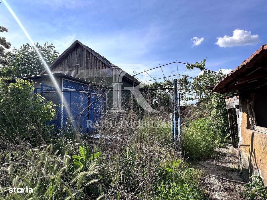 Casa cu anexe si pivniță | Teren intravilan generos | Sannicolau Roman