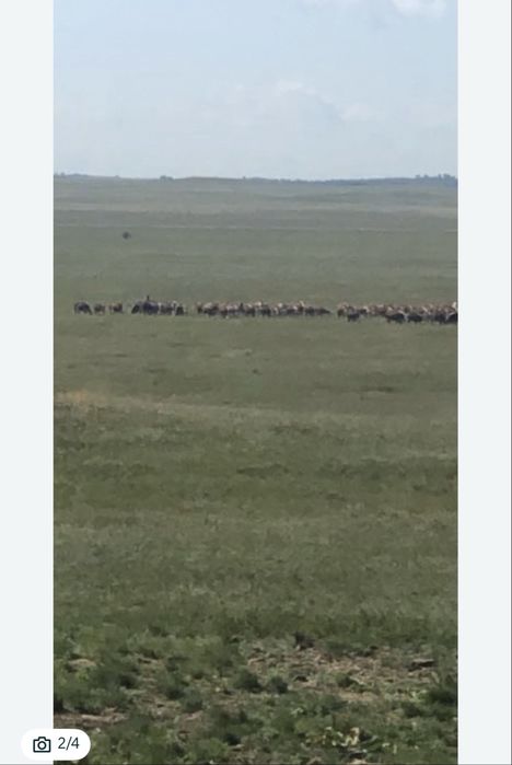 ТОО Сельхоз 5000 га