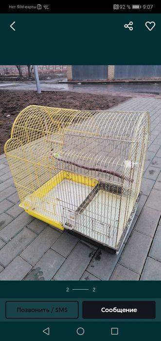 Большая    клетка