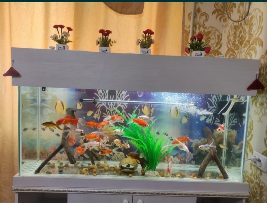 Аквариум большой