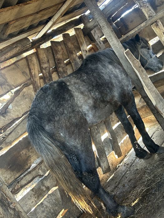 Продаётся байтал