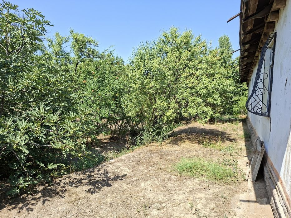 Andijon / Hovli sotiladi