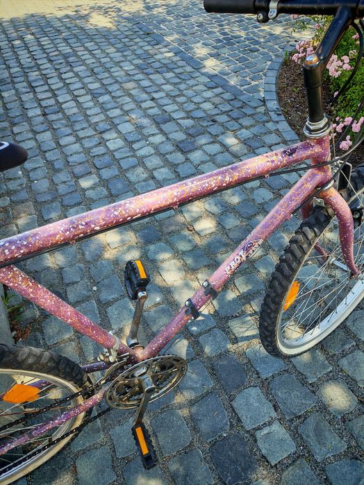 Bicicleta Mtb retro vintage pro line