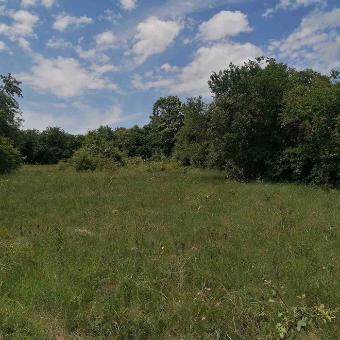 Продава се Парцел в Добрич, Център - 1786 кв.м за 26 €/кв.м - Снимка #3