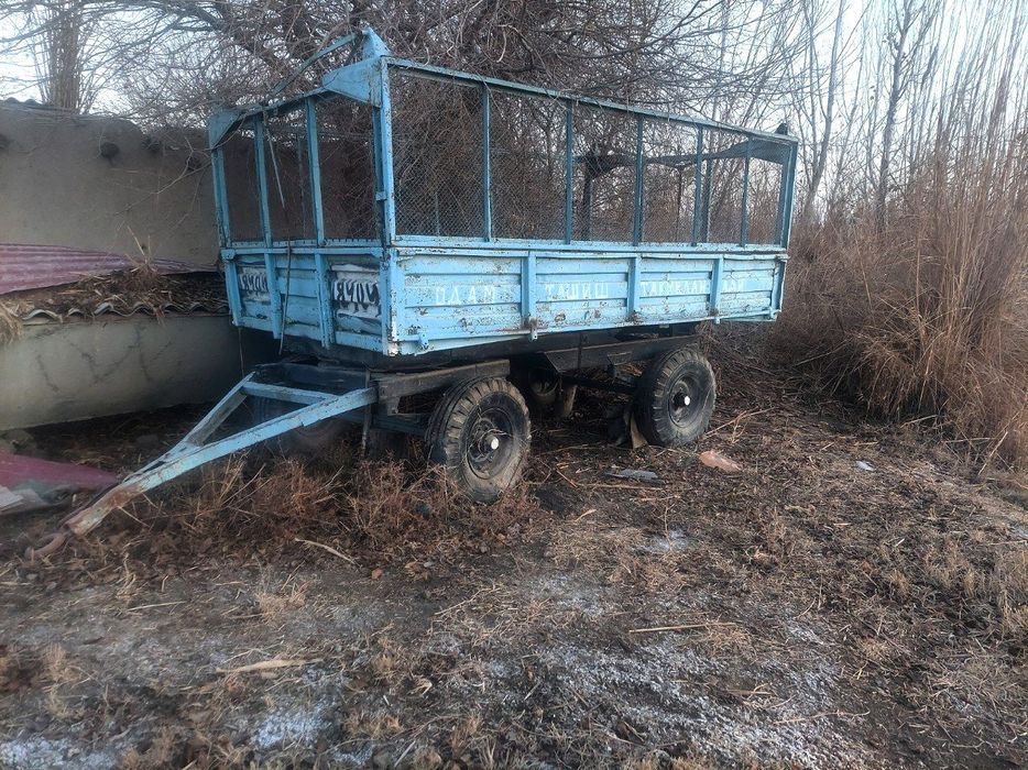 Telechka  телечка 20 миллион