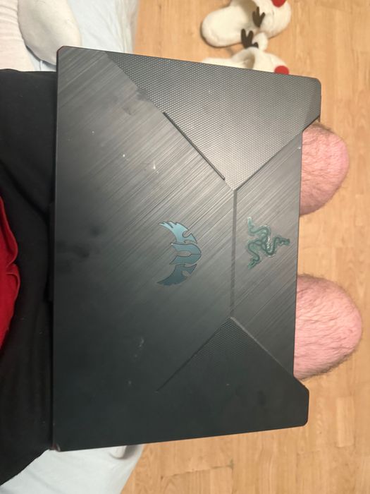 Ecran Laptop ASUS TUF Gaming F15 FX506L 144hz perfect funcțional