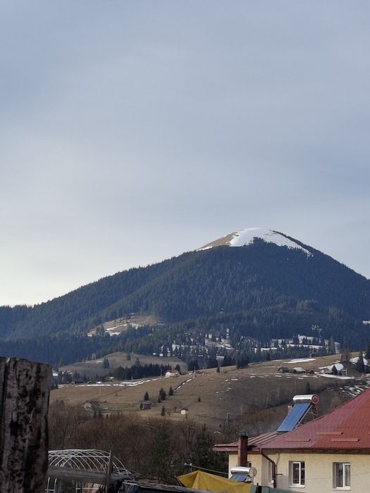 Teren Vatra Dornei (strada Rosu)