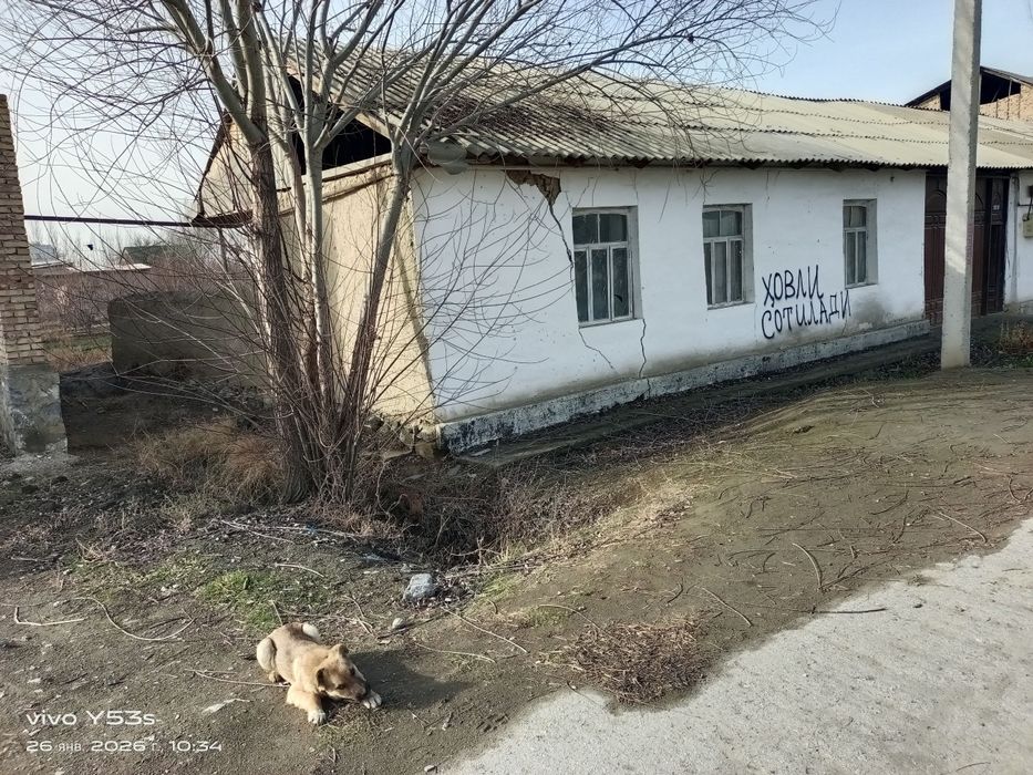 Xovli sotiladi 10 sotik
