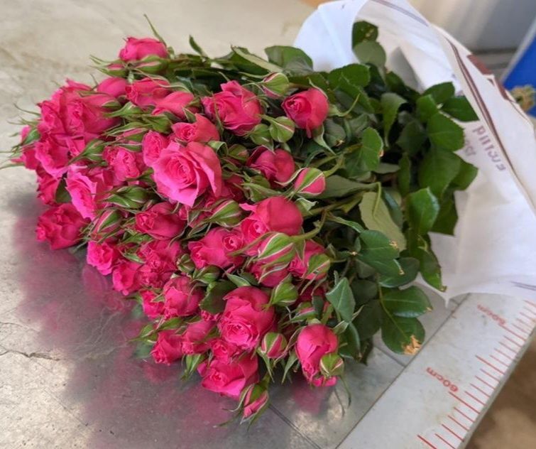 Цветы розы оптом от 550 тг