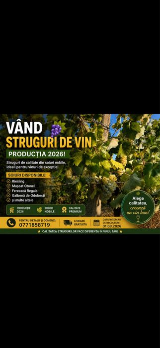 Vand struguri de vin odobesti