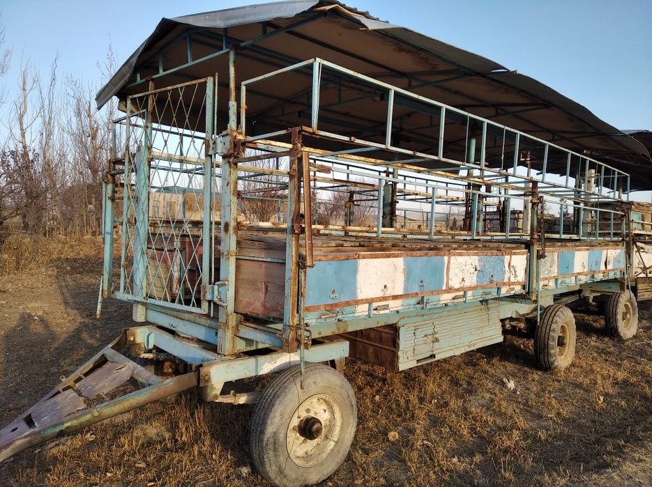 Асалари павилиони 64 та оила кетади