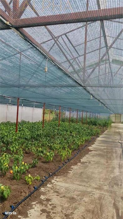 Afacere La Cheie – Hala Productie + Sera Profesionala