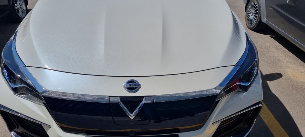 В наличии Nissan Venucia-D60EV