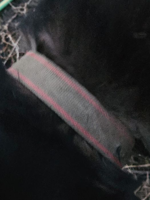 Отдадим большого пса