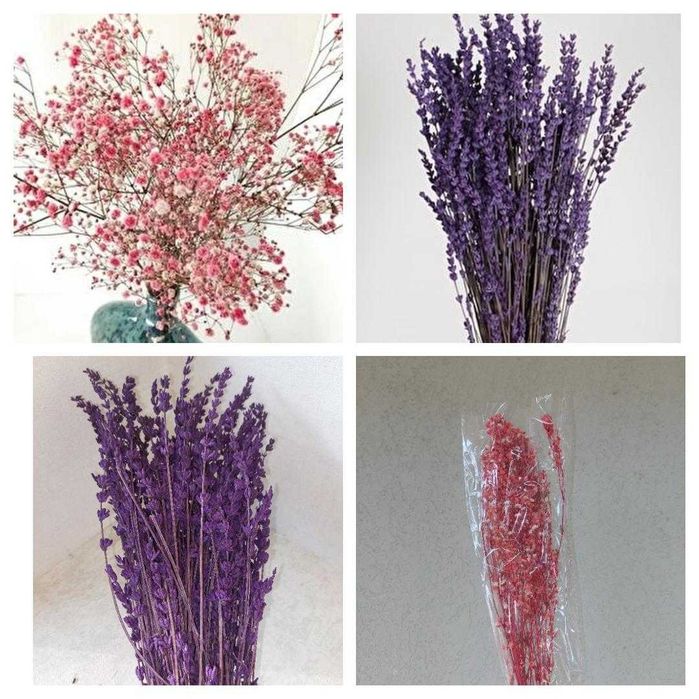Сухоцветы лаванда