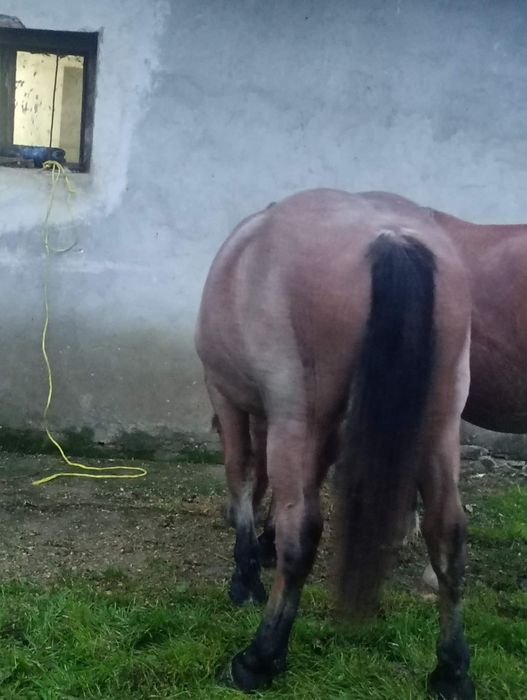 De vânzare m-ai multe detalii la telefon