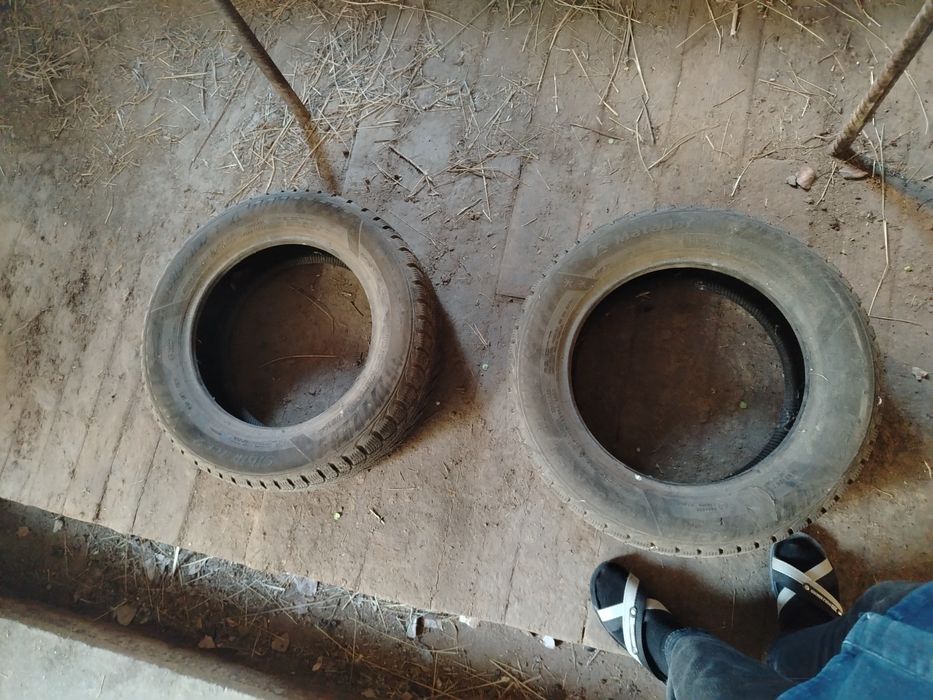 прадам шыны на R15